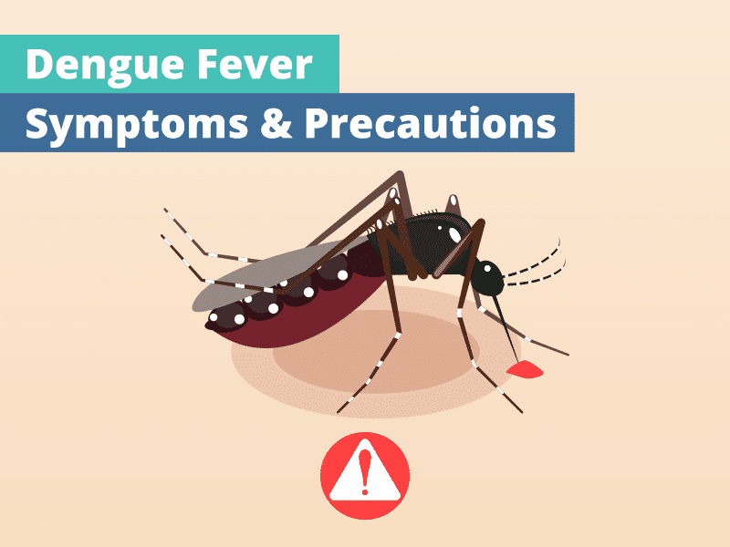 dengue fever symptoms and precautions