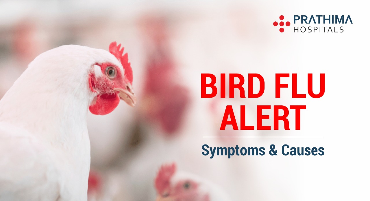 BIRD FLU Important Things You Should Know About Prathima Hospitals