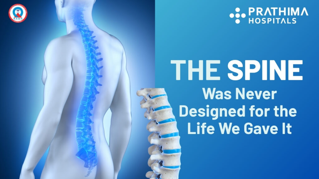 Spine Was Never Designed for the Life